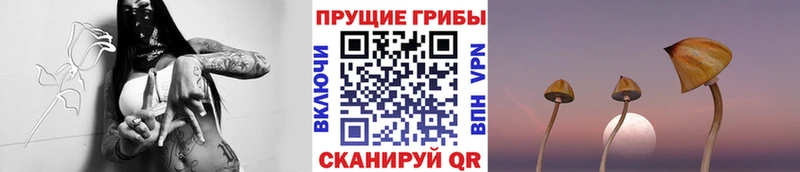 Галлюциногенные грибы мицелий  Зверево 